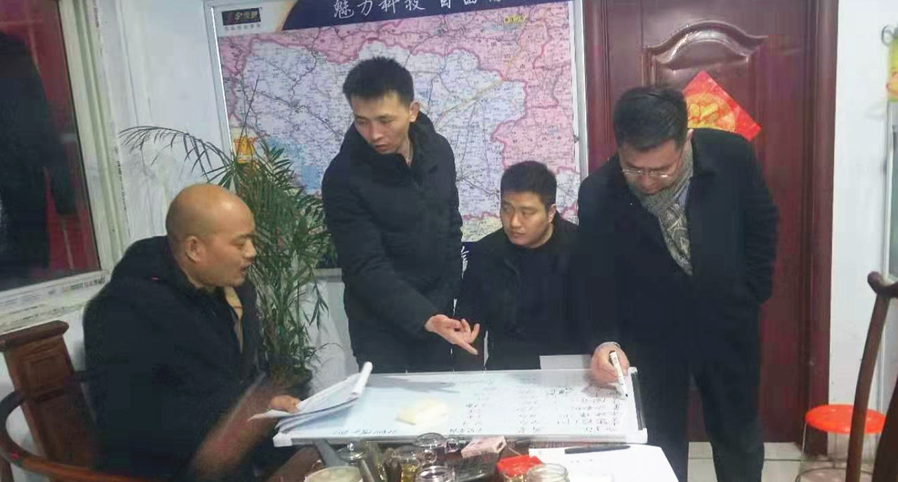 39123954
